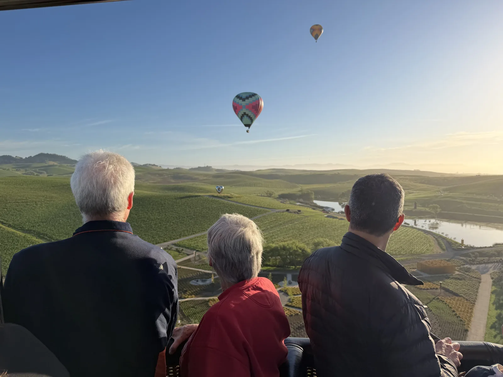 View from inside the balloon basket over Sonoma Valley vineyards