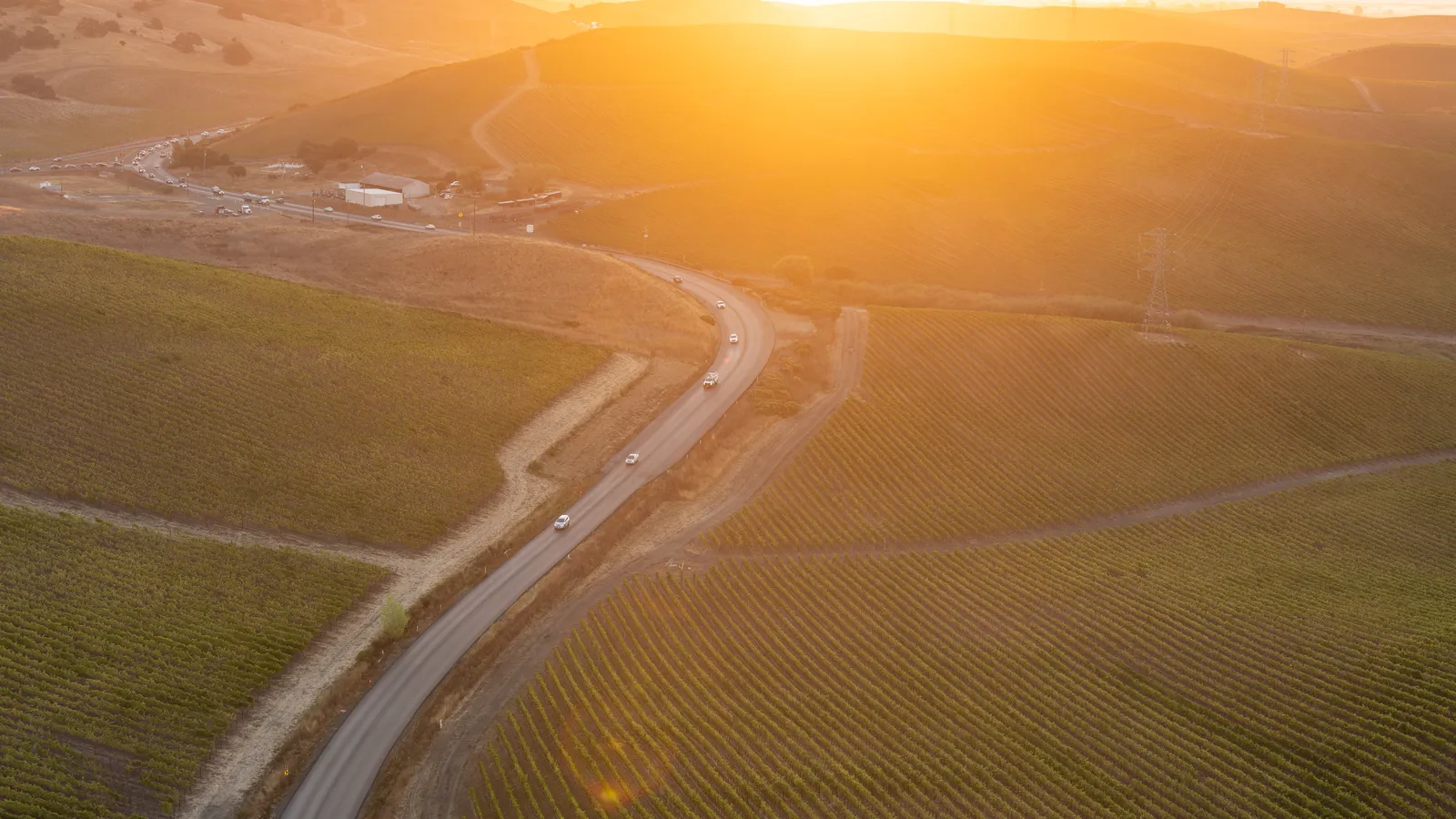 Escape SF: Sonoma Ballooning, Closer than Napa