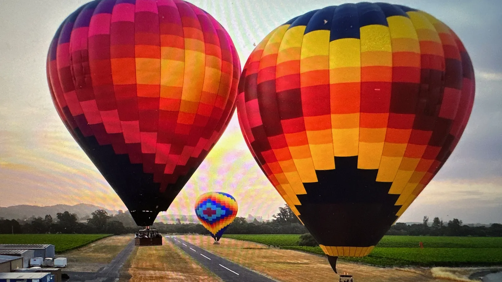 Two hot air balloons inflated on the Sonoma Skypark runway at dawn with a third balloon lifting off over the vineyards beyond