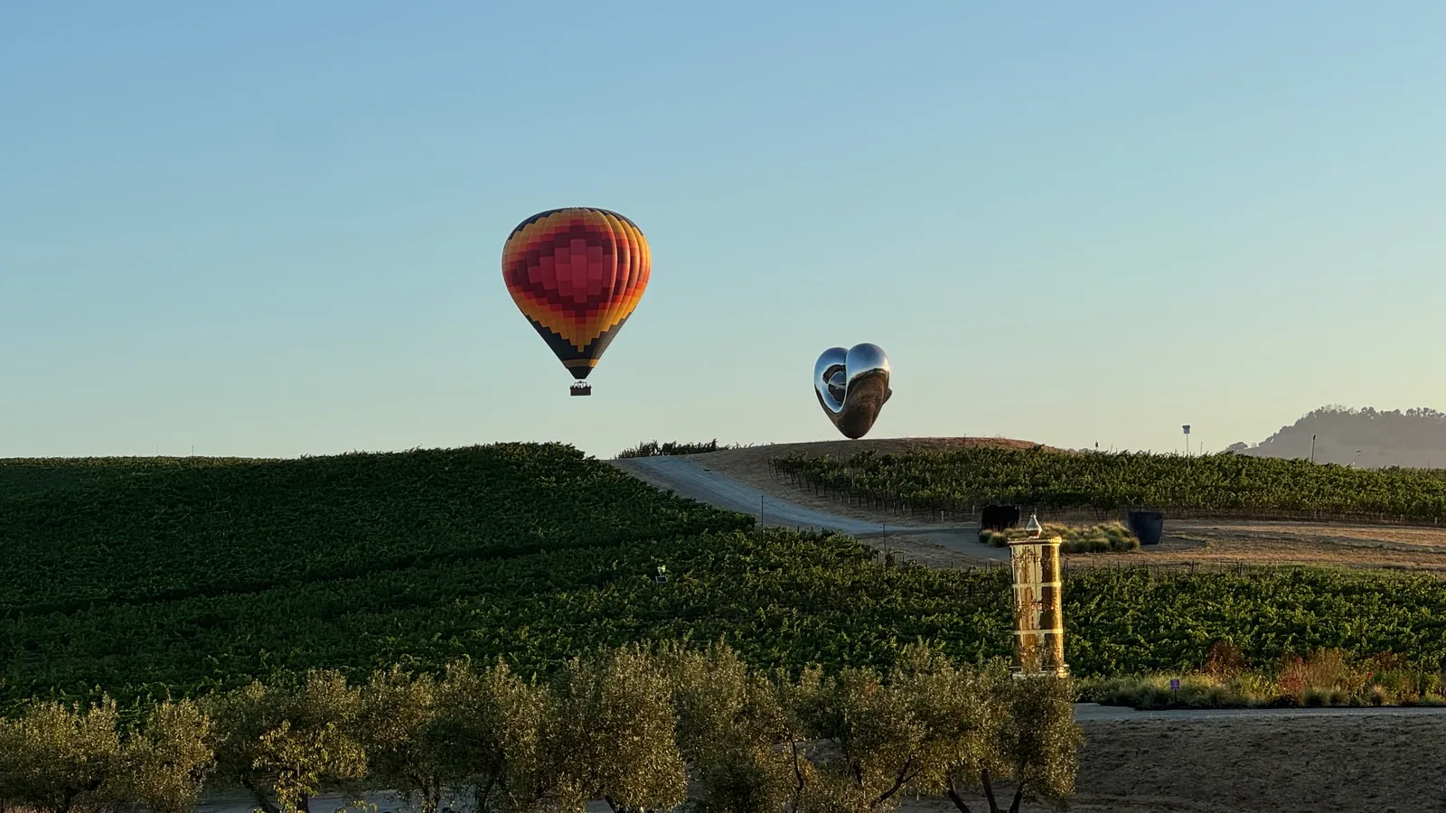 Two hot air balloons drifting together over green vineyards