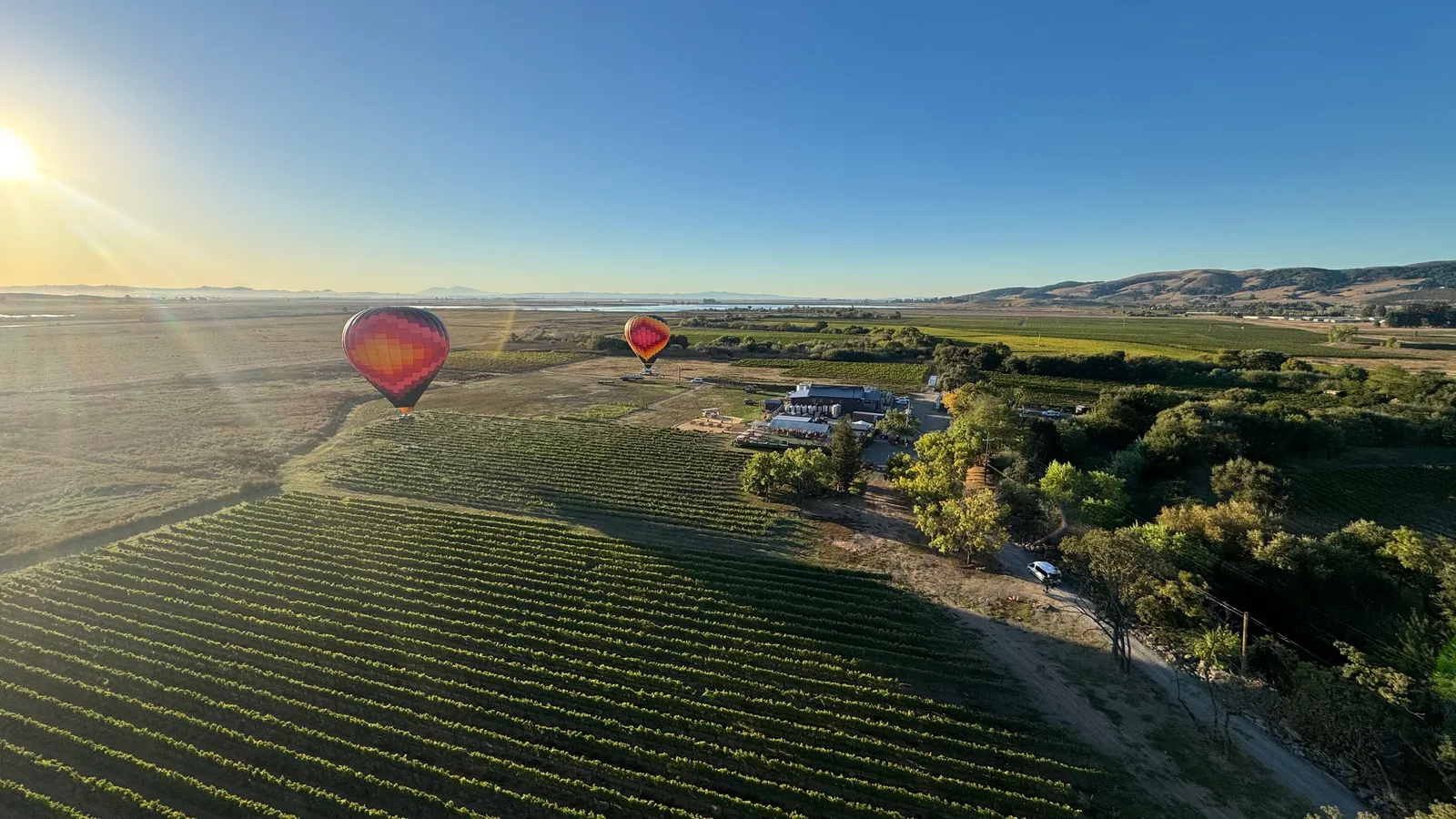 Looking down on vineyard blocks as a balloon drifts overhead