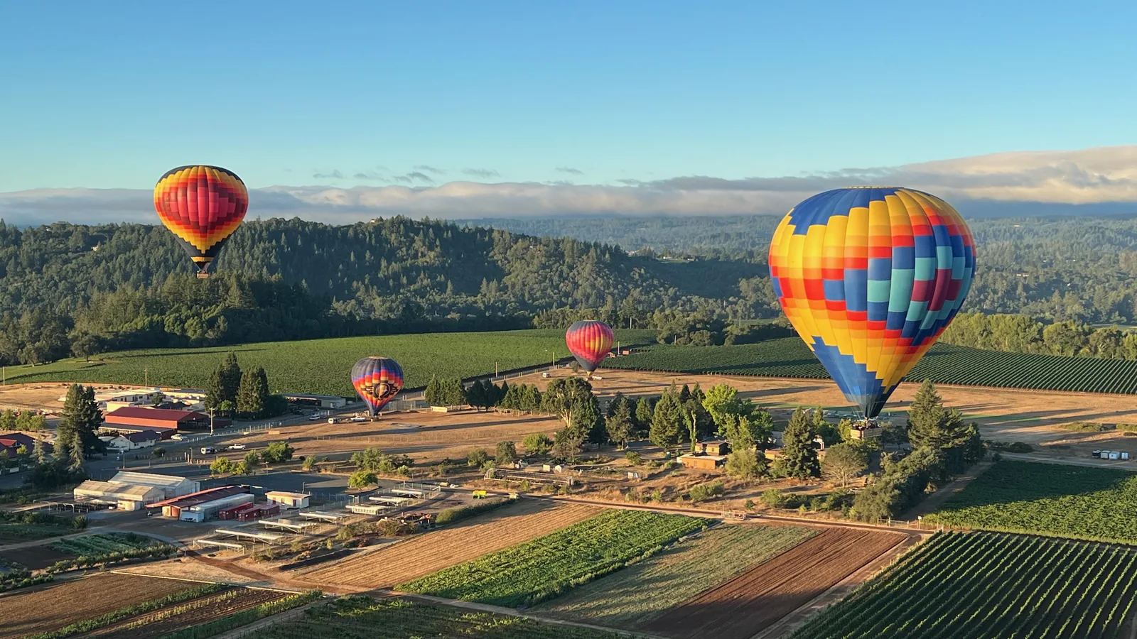 Hot air balloons over Sonoma hills and vineyards with low haze on the horizon at sunrise
