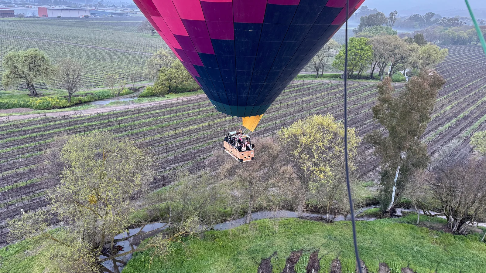 Hot air balloon rising over Sonoma wine country at sunrise