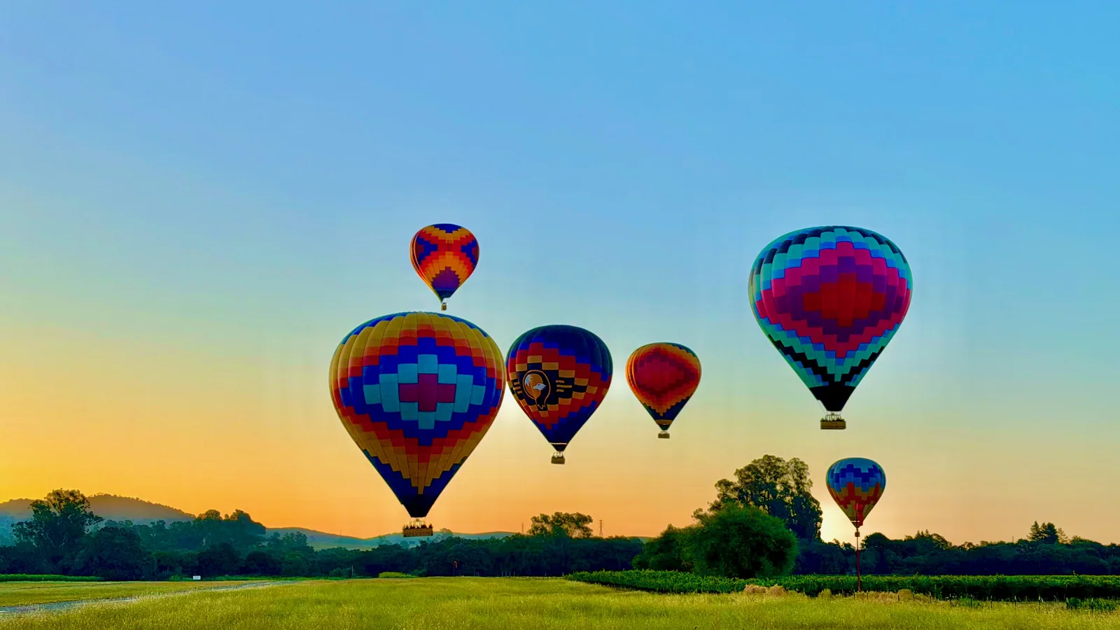 Five hot air balloons rising in formation over a Sonoma field at a golden October sunrise