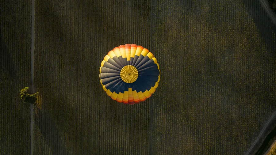Looking straight down at a hot air balloon over Carneros vineyard rows
