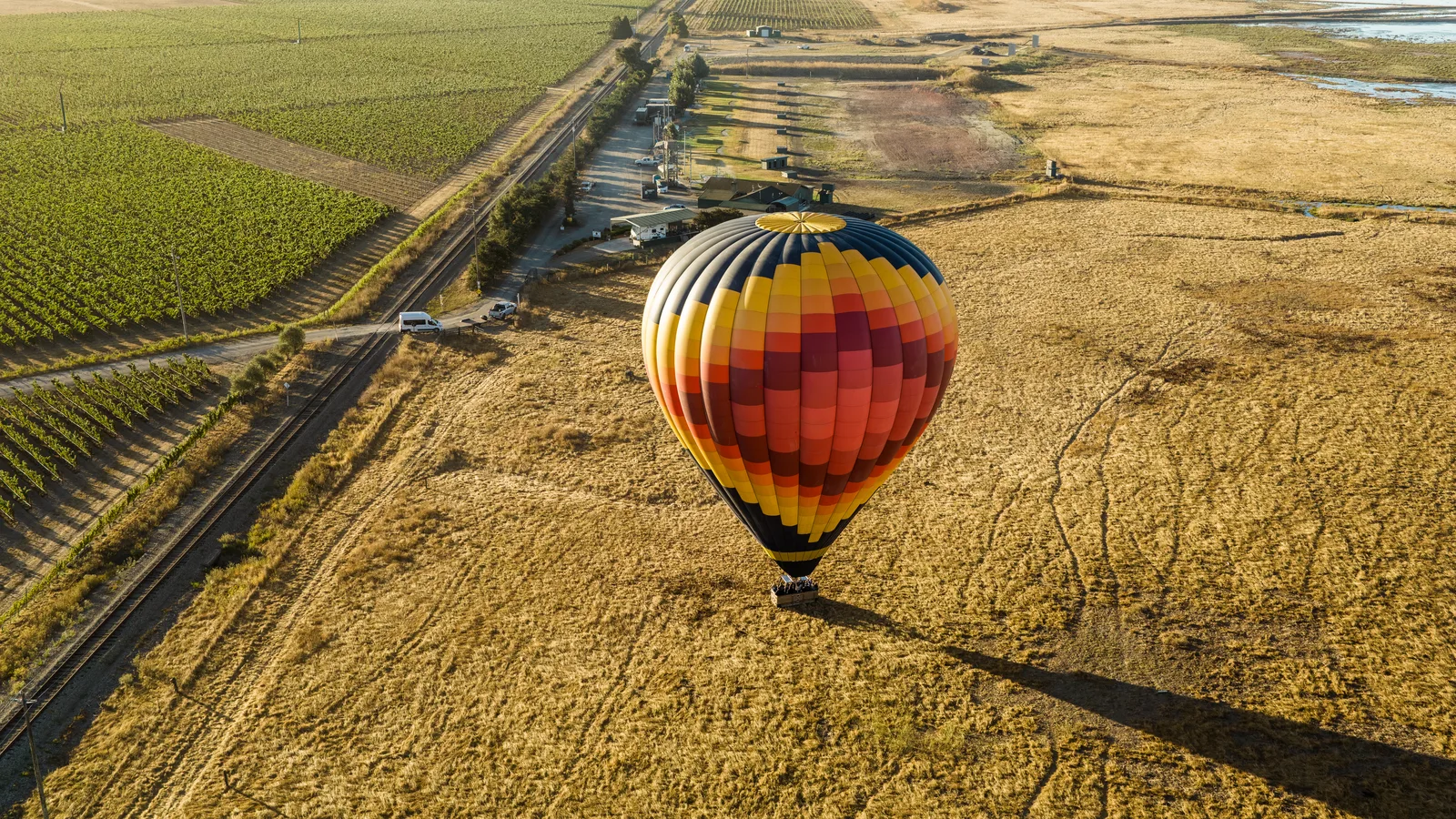 Hot air balloon flying low over a golden Carneros field at sunrise, moments before landing