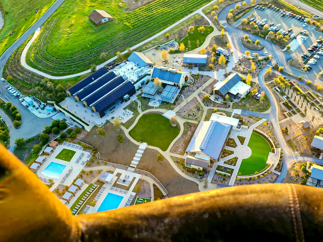 Carneros estate vineyards seen from the balloon