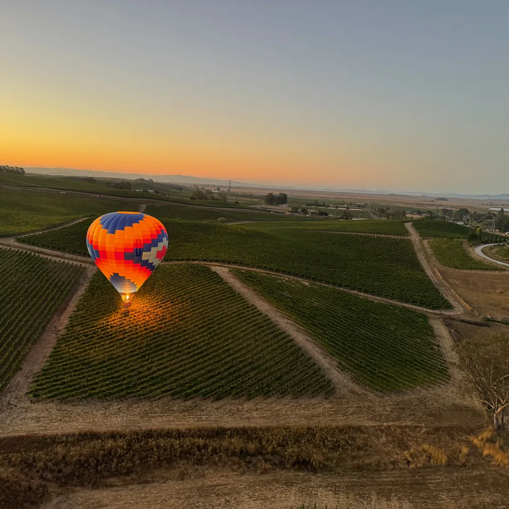 Hot air balloon over Napa and Sonoma vineyards at sunrise