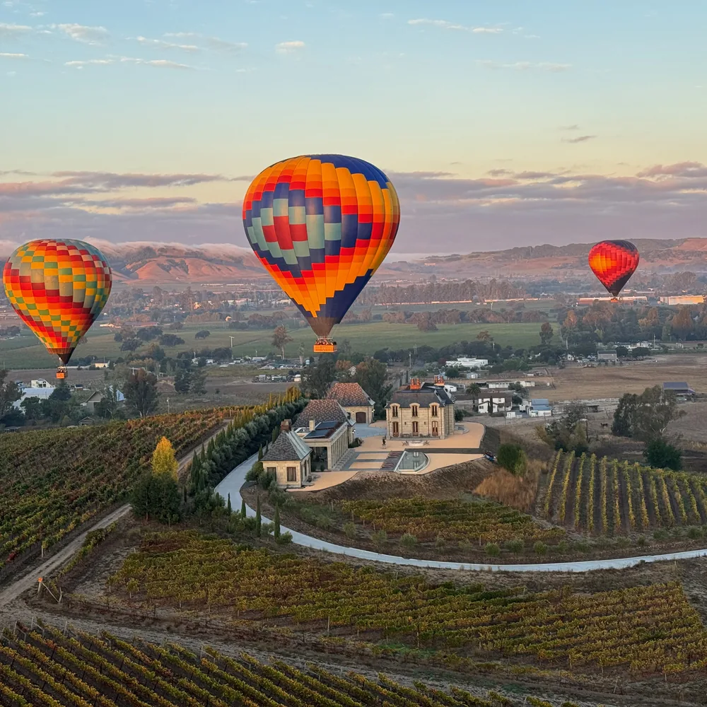 Balloon drifting low over Carneros vineyard rows