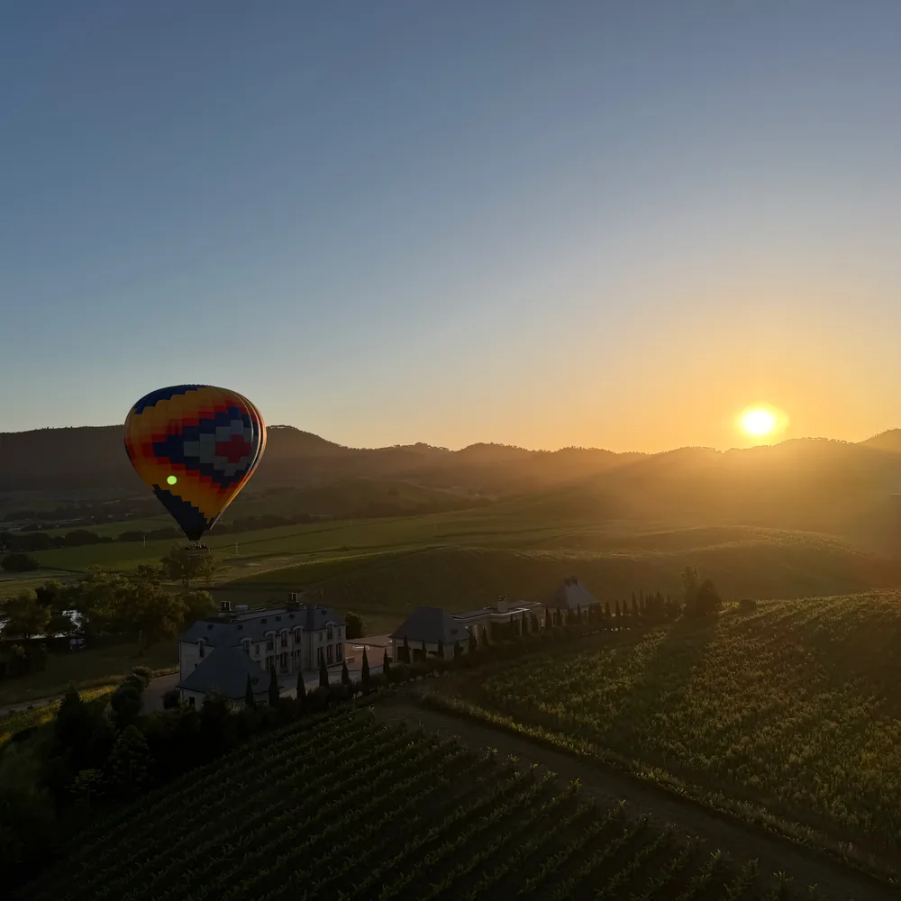Aerial view of a balloon over a wine country estate near Napa
