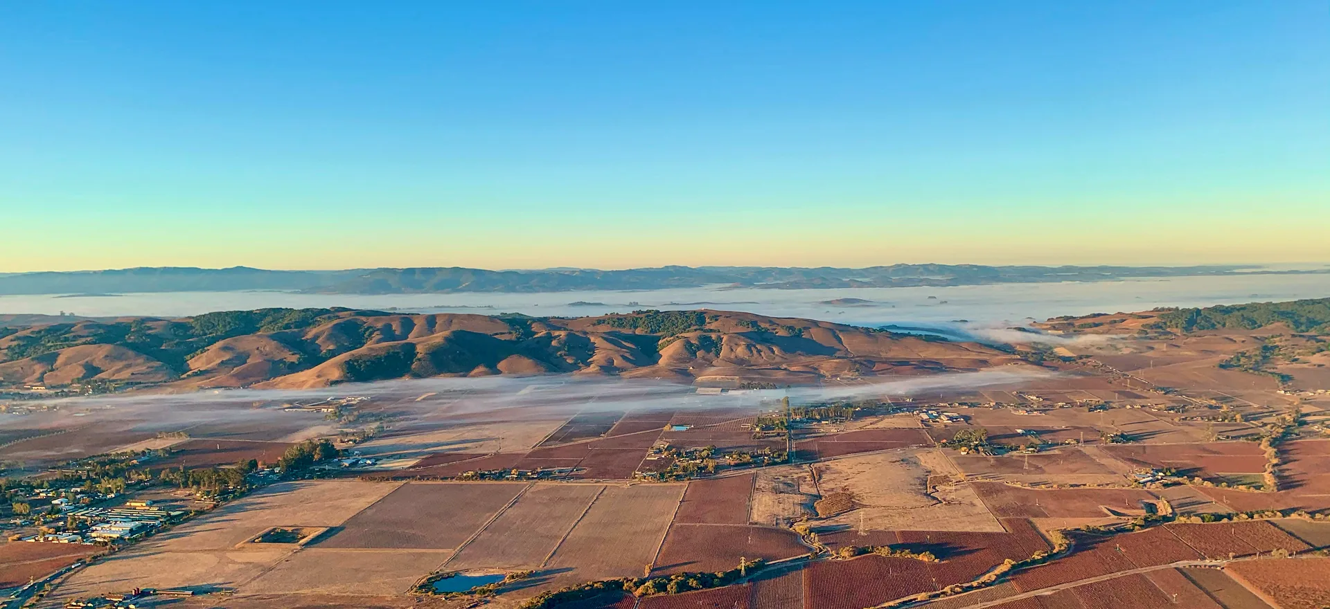 Dawn fog over Carneros farmland from the balloon