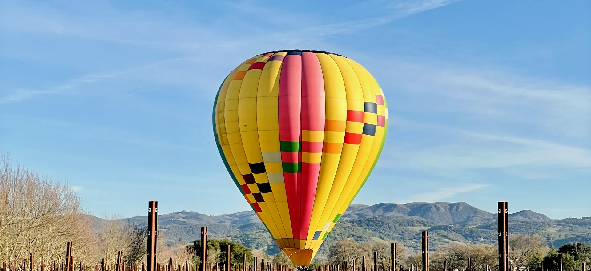 Hot air balloon low over Sonoma vineyard rows at sunrise